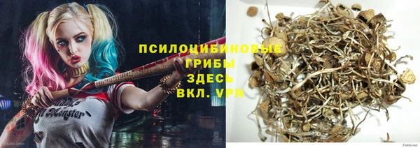 прущие крисы Осинники