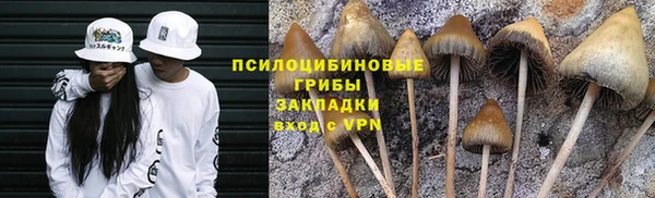 ECSTASY Верхний Тагил