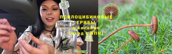 mdpv Орехово-Зуево